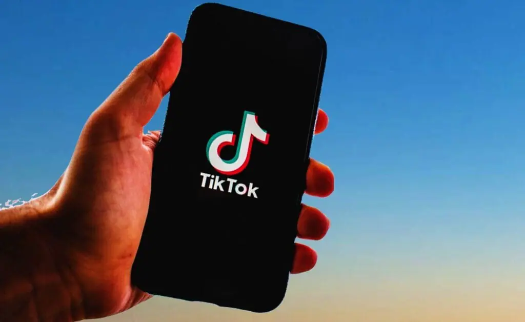 organic traffic using Tiktok
